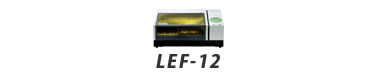 LEF-12
